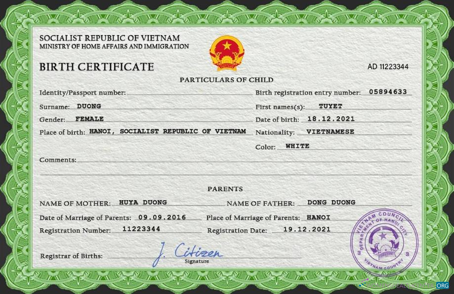 Download Vietnam birth certificate PSD template Photoshop template